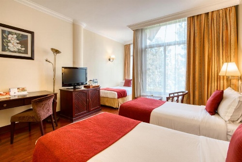 Kibo Palace Hotel image 7